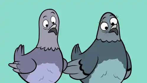 Funny Pigeon Reaction