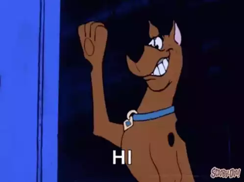 Scooby Doo Waves Hi