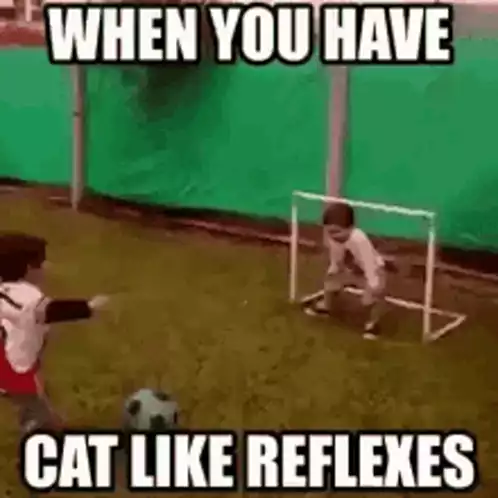 Funny Soccer: Cat-Like Reflexes Save