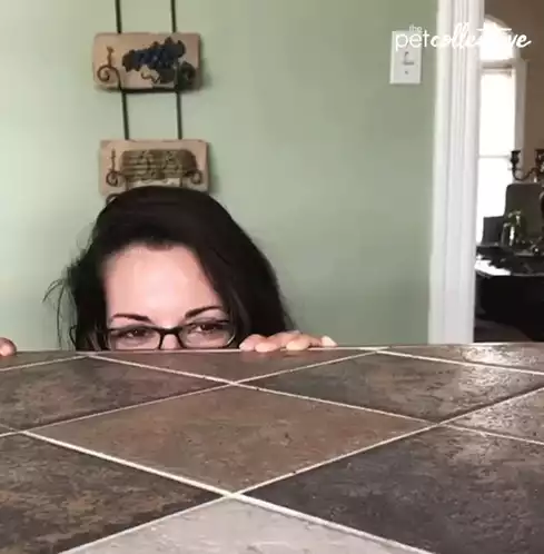 Woman and Cat's Funny Peek-a-Boo