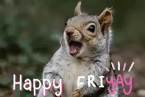 Happy FRIYAY Squirrel Meme - Squirrel Love