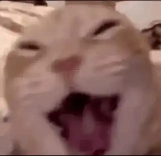 Stan Twitter Reaction Meme