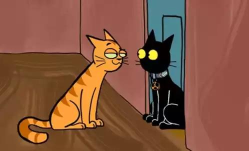 Stop Shoo Cats