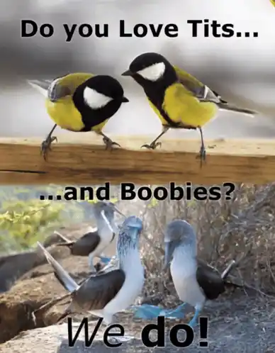 Do You Love Tits and Boobies?