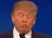 Donald Trump Makes a Funny Face
