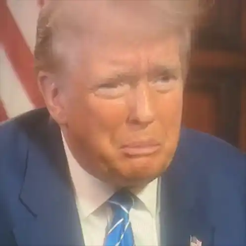 Funny Donald Trump Face