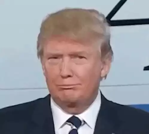 Donald Trump Makes Funny Faces