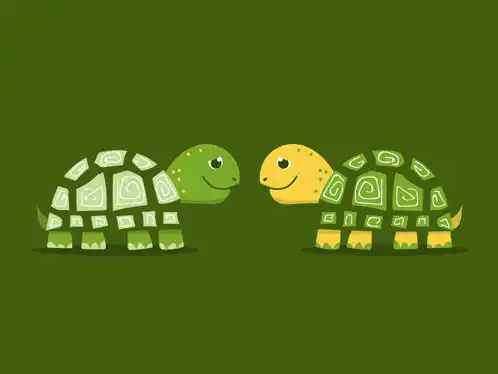 Turtles Kissing Turtles Love