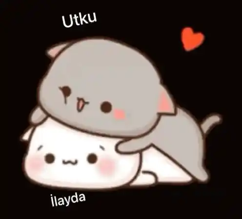 Utku and Ilayda: Cute Cuddling Cats