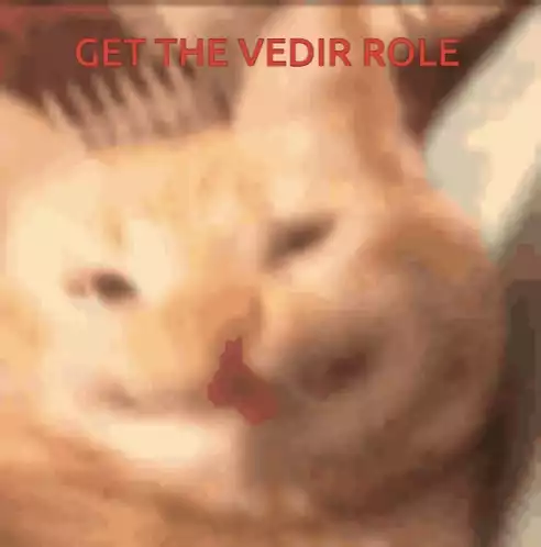 Funny Cat Demands 'GET THE VEDIR ROLE'
