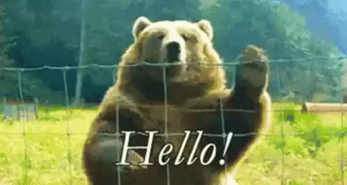 Friendly Bear Waves Hello