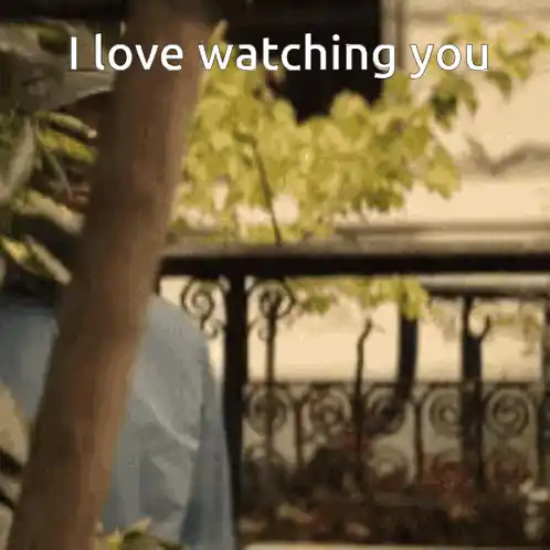 Joe Goldberg: I Love Watching You